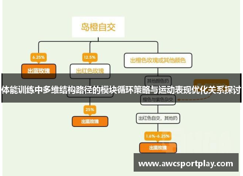 体能训练中多维结构路径的模块循环策略与运动表现优化关系探讨