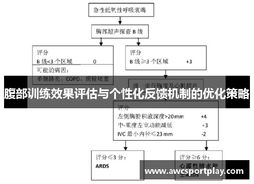 腹部训练效果评估与个性化反馈机制的优化策略